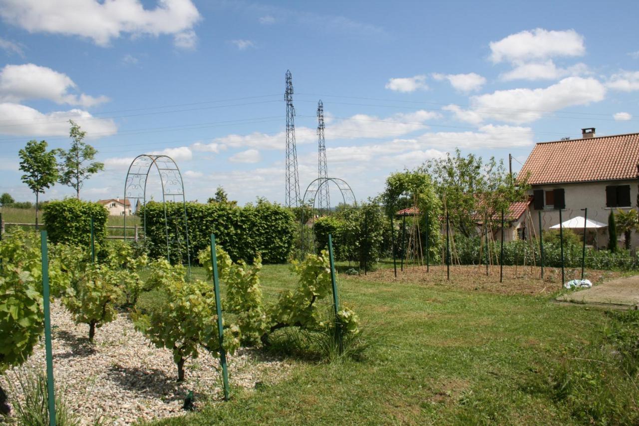 1 Bedroom House 20Min Walk To Centre In Tournus Exterior photo