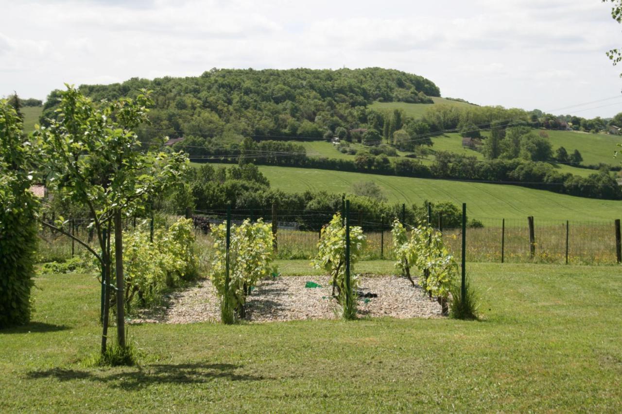 1 Bedroom House 20Min Walk To Centre In Tournus Exterior photo